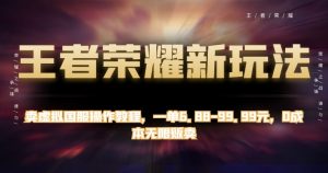 王者荣耀新玩法，卖虚拟国服操作教程，一单6.88-99.99元，0成本无限贩卖【揭秘】-最全资源库