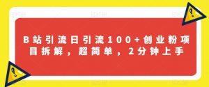 B站引流日引流100+创业粉项目拆解，超简单，2分钟上手【揭秘】-最全资源库