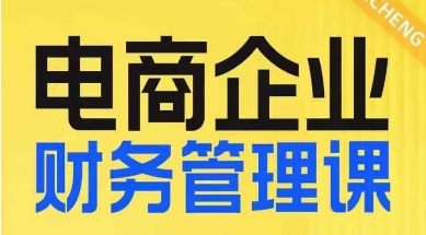 电商企业财务管理线上课，为电商企业规划财税-最全资源库