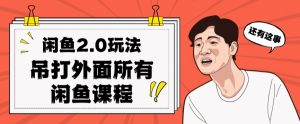 闲鱼2.0玩法单号每天日入2000,吊打市面所有课程-最全资源库