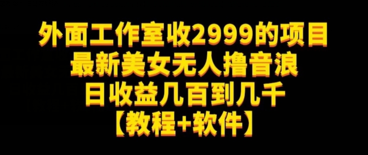 外面工作室收2999的项目最新美女无人撸音浪日收益几百到几千【教程+软件】（仅揭秘）-最全资源库