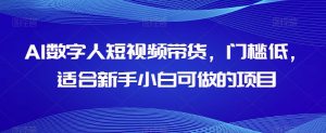 AI数字人短视频带货,门槛低,适合新手小白可做的项目-最全资源库