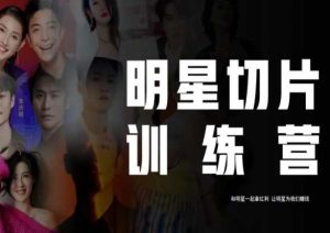 王子·明星切片线上训练营(2023),和明星一起拿红利,让明星为我们赚钱-最全资源库