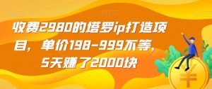 收费2980的塔罗ip打造项目，单价198-999不等，5天赚了2000块【揭秘】-最全资源库
