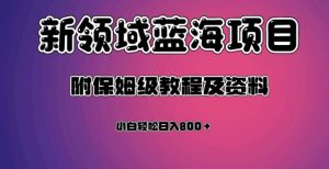 虚拟资源蓝海领域新项目，轻松日入800＋，附保姆级教程及资料-最全资源库