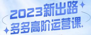 大炮·多多高阶运营课，3大玩法助力打造爆款，实操玩法直接亮出干货-最全资源库