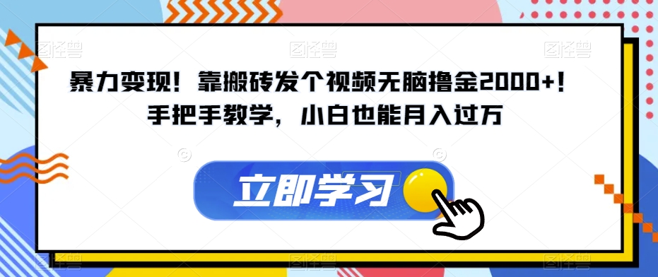 暴力变现！靠搬砖发个视频无脑撸金2000+！手把手教学，小白也能月入过万【揭秘】-最全资源库
