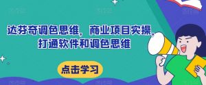 达芬奇调色思维，商业项目实操，打通软件和调色思维-最全资源库