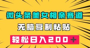 微头条冷门美女相亲赛道，无脑复制粘贴，轻松日入200＋【揭秘】-最全资源库