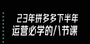 大牙·23年下半年拼多多运营必学的八节课（18节完整）-最全资源库