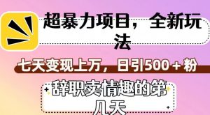 超暴利项目，全新玩法（辞职卖情趣的第几天），七天变现上万，日引500+粉【揭秘】-最全资源库