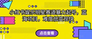 小红书娱乐明星赛道暴力起号，蓝海项目，难度低变现快【揭秘】-最全资源库