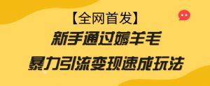 【全网首发】新手通过薅羊毛暴力引流变现速成玩法-最全资源库