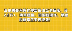 丑小鸭变天鹅女神塑造小红书玩法，月入5万+，简单易懂，按流程操作，草根也能真正实现逆袭！-最全资源库
