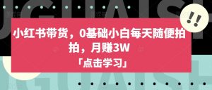 小红书带货,0基础小白每天随便拍拍,月赚3W【揭秘】-最全资源库
