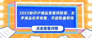 2023知识IP爆品发售双阶班，左手爆品右手发售，开启批量收钱-最全资源库