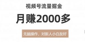 视频号流量掘金，无脑操作，对新人小白友好，月赚2000多【揭秘】-最全资源库