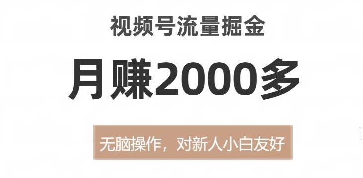 视频号流量掘金，无脑操作，对新人小白友好，月赚2000多【揭秘】-最全资源库