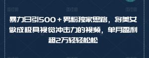 暴力日引500+男粉独家思路,将美女做成极具视觉冲击力的视频,单月盈利超2万轻轻松松-最全资源库