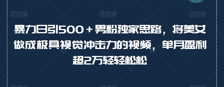 暴力日引500+男粉独家思路,将美女做成极具视觉冲击力的视频,单月盈利超2万轻轻松松-最全资源库