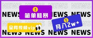 简单粗暴零成本，高回报，全网视频VIP掘金项目，月入2万＋【揭秘】-最全资源库