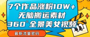 7个作品涨粉10W+，无脑搬运素材，全景美女视频爆款玩法分享【揭秘】-最全资源库