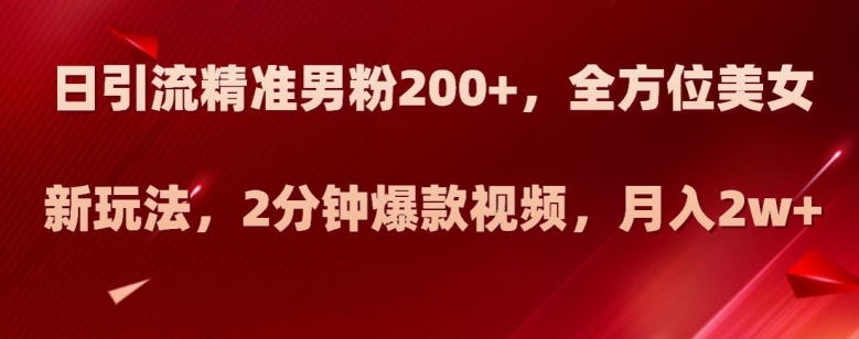 日引流精准男粉200+,全方位美女新玩法,2分钟爆款视频,月入2w+【揭秘】-最全资源库