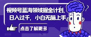 视频号蓝海领域掘金计划，日入过千，小白无脑上手【揭秘】-最全资源库