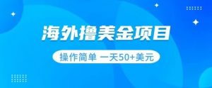 撸美金项目无门槛操作简单小白一天50+美刀-最全资源库