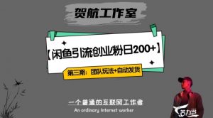 第三期：暴力引流，无脑搬运，闲鱼创业粉引流一天200+，更新全自动发货的团队闭环模式【揭秘】-最全资源库