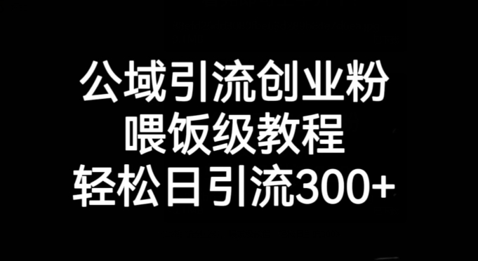 公域引流创业粉，喂饭级教程，轻松日引流300+【揭秘】-最全资源库