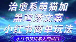 治愈系萌猫加+黑鸡汤文案,小红书商单玩法,3~10天涨到1000粉,一单200左右-最全资源库