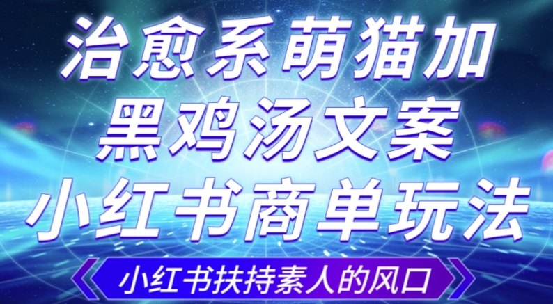 治愈系萌猫加+黑鸡汤文案,小红书商单玩法,3~10天涨到1000粉,一单200左右-最全资源库