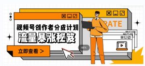 一条视频收益3000+，一条作品涨粉2000+，视频号流量爆炸·的秘籍-最全资源库