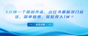 5分钟一个原创作品,小红书最新冷门玩法,简单粗暴,轻松月入1W+【揭秘】-最全资源库