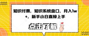 知识付费，知识系统盘口，月入1w+，新手小白直接上手-最全资源库