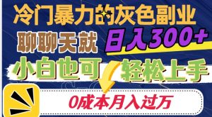 冷门暴利的副业项目，聊聊天就能日入300+，0成本月入过万【揭秘】-最全资源库