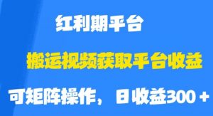 搬运视频获取平台收益，平台红利期，附保姆级教程【揭秘】-最全资源库