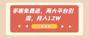 手表免费送，两大平台引流，月入1.2W【揭秘】-最全资源库