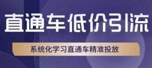 直通车低价引流课，系统化学习直通车精准投放-最全资源库