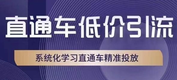 直通车低价引流课，系统化学习直通车精准投放-最全资源库