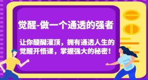 觉醒-做一个通透的强者,让你醍醐灌顶,拥有通透人生的觉醒开悟课,掌握强大的秘密!-最全资源库