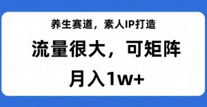 养生赛道,素人IP打造,流量很大,可矩阵,月入1w+【揭秘】-最全资源库