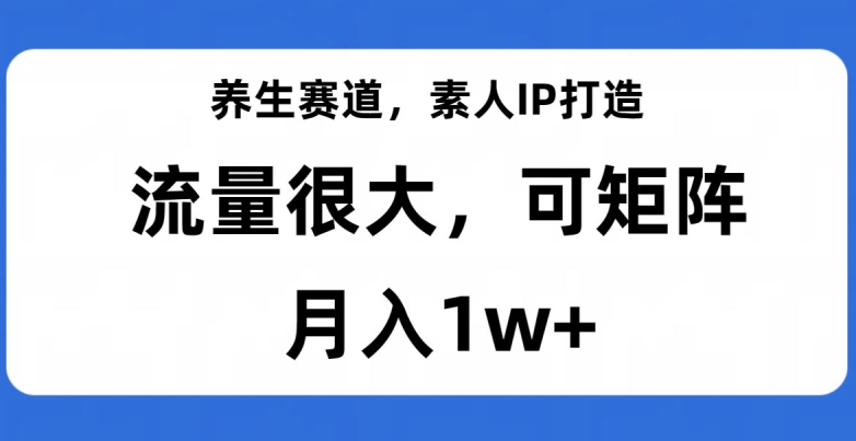 养生赛道,素人IP打造,流量很大,可矩阵,月入1w+【揭秘】-最全资源库