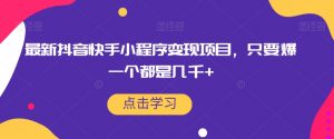最新抖音快手小程序变现项目，只要爆一个都是几千+-最全资源库