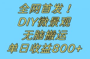 全网首发冷门赛道！DIY微景观，无脑搬运视频，日收益800+【揭秘】-最全资源库