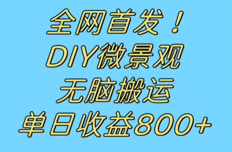 全网首发冷门赛道！DIY微景观，无脑搬运视频，日收益800+【揭秘】-最全资源库