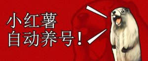 小红书养号秘籍，如何自动涨粉清晰系统标签打造高权重账号【揭秘】-最全资源库