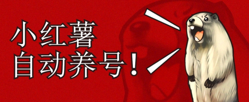 小红书养号秘籍，如何自动涨粉清晰系统标签打造高权重账号【揭秘】-最全资源库