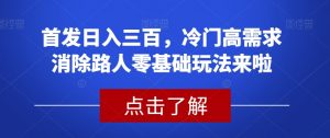 首发日入三百，冷门高需求消除路人零基础玩法来啦【揭秘】-最全资源库